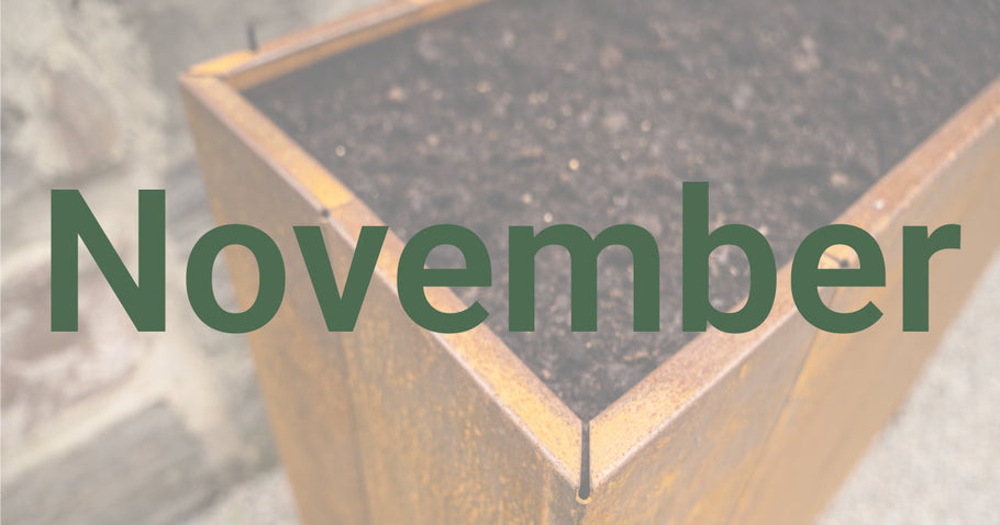 Tuintips voor november