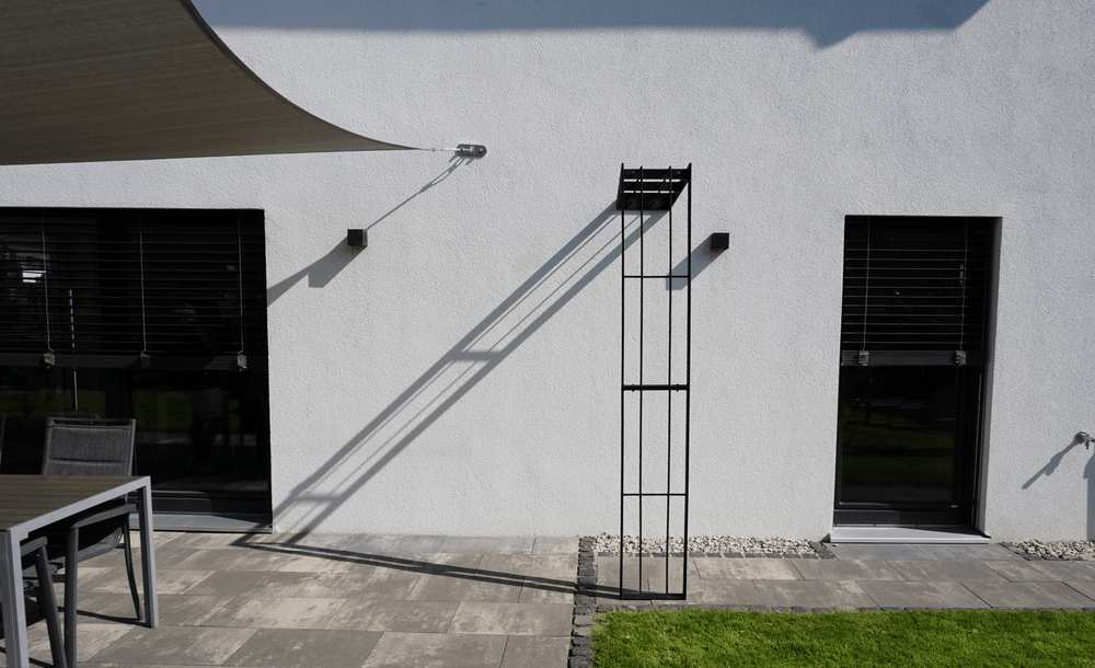 Rozenboog tegen muur Savona Rozenboog tegen muur Savona