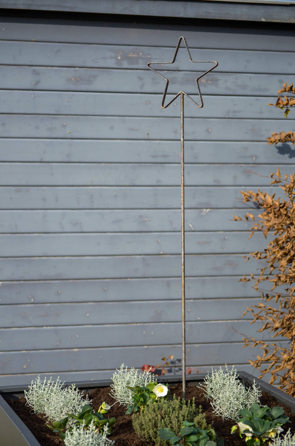 Rankstab Tissano unbeschichtet Gesamtansicht in Hochbeet vor Gartenhaus Rankstab Tissano unbeschichtet Gesamtansicht in Hochbeet vor Gartenhaus