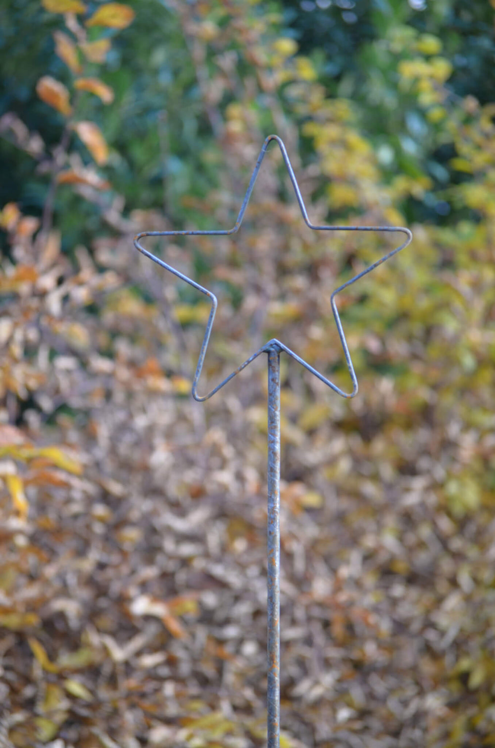 Rankstab Tissano Stern-Spitze vor grünen Blättern im Garten Rankstab Tissano Stern-Spitze vor grünen Blättern im Garten
