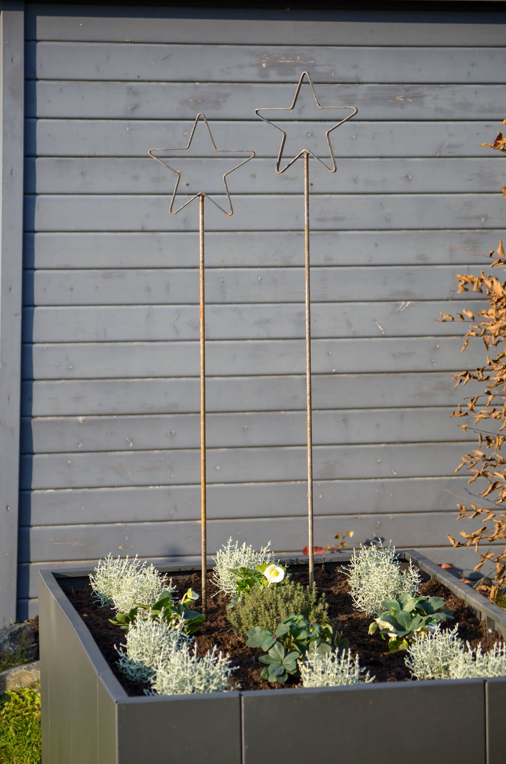 Rankstabset Tissano beide Rankstäbe im Hochbeet vor Gartenhaus Rankstabset Tissano beide Rankstäbe im Hochbeet vor Gartenhaus