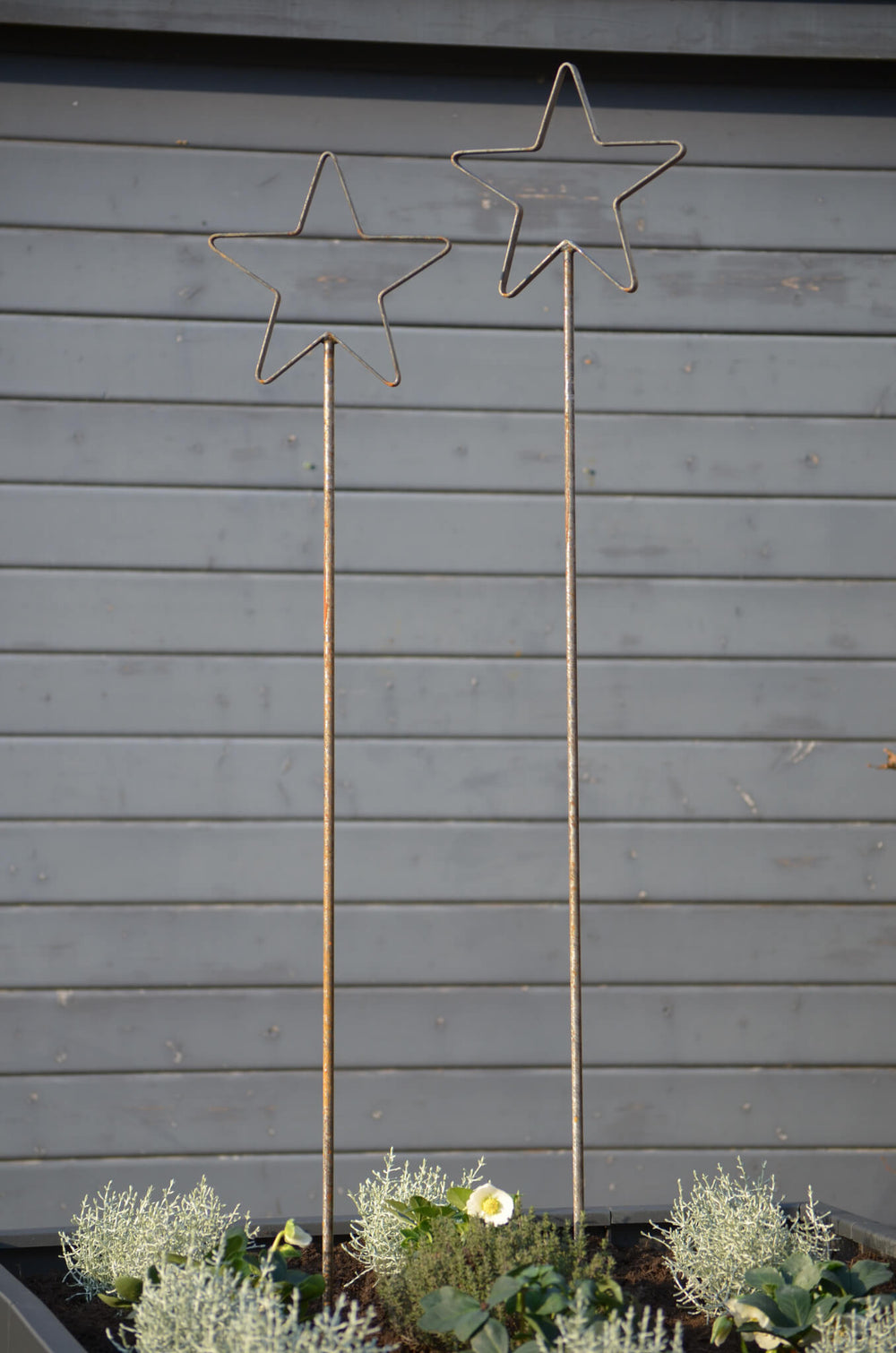 Rankstabset Tissano Gesamtansicht beide Rankstäbe im Hoochbeet vor Gartenhaus Rankstabset Tissano Gesamtansicht beide Rankstäbe im Hoochbeet vor Gartenhaus