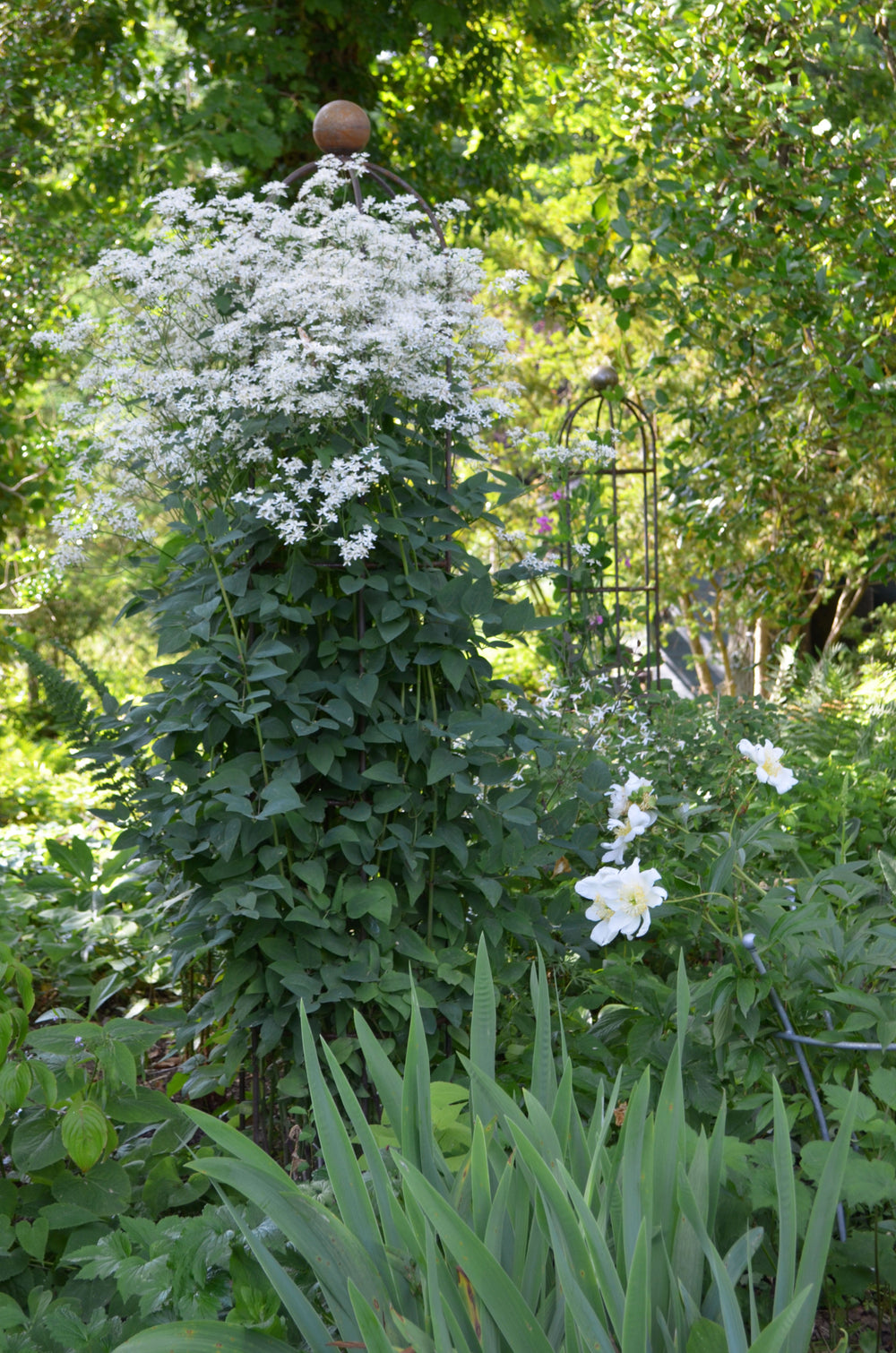 Obeliskenset Messina im grünen Garten mit weißen Blüten, unbeschichtet Obeliskenset Messina im grünen Garten mit weißen Blüten, unbeschichtet