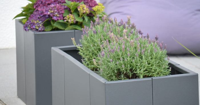 Plantenbakken op de juiste manier beplanten