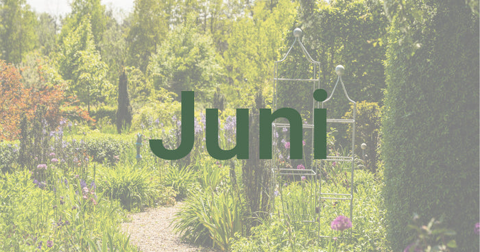 Tuintips voor juni
