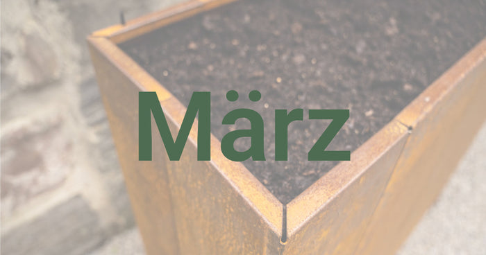 Tuintips voor maart