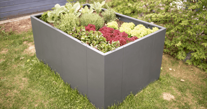 Bescherm uw verhoogde plantenbak tegen vorst: 5 effectieve tips