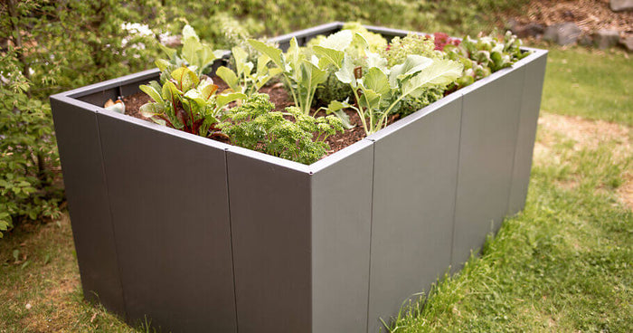 Verhoogde plantenbak: bouwpakket of volledig gelast – wat is de beste keuze voor uw tuin?