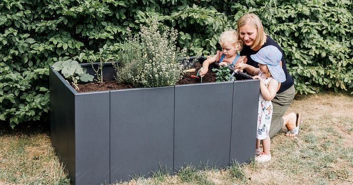 Een verhoogde plantenbak beplanten – planning, beplantingsplan & praktische tips