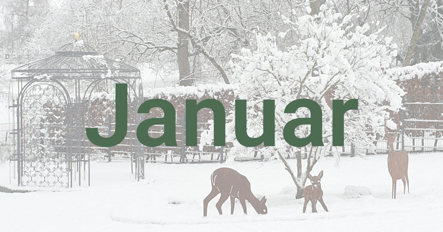 Tuintips voor januari
