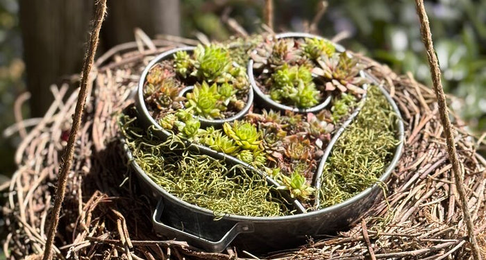 Een metalen hart beplanten en versieren: stap-voor-stap-handleiding met creatieve decoratie-ideeën