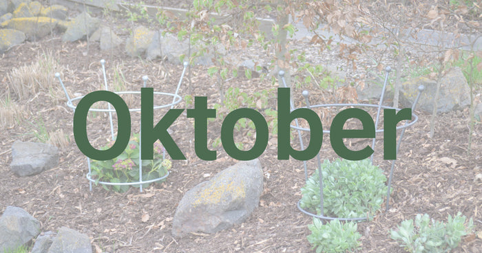 Tuintips voor oktober
