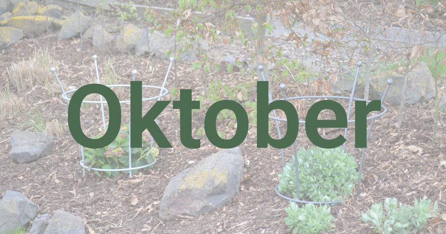 Tuintips voor oktober