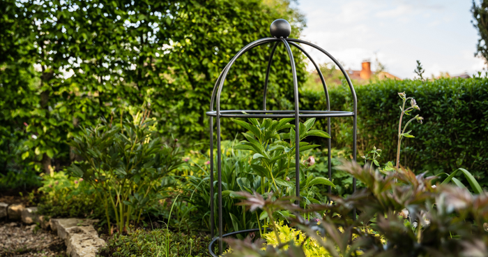 Een vasteplantenperk aanleggen – zo lukt het u gemakkelijk