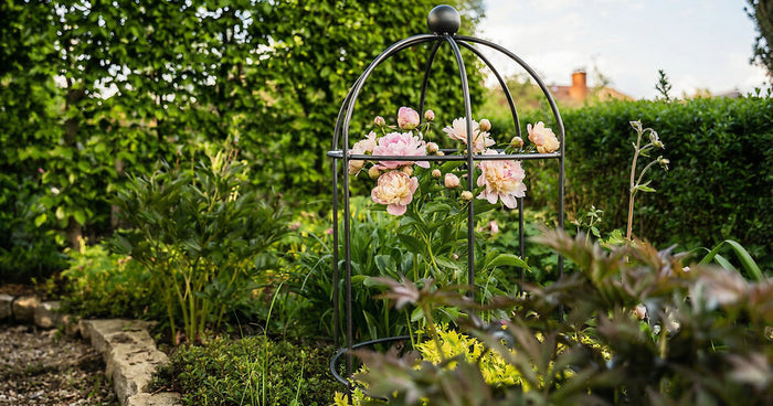 Duurzame tuin: de beste tips voor ecologisch tuinieren