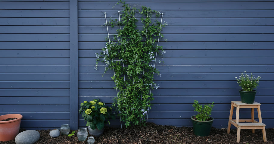 Verticaal tuinieren: <br>De 5 mooiste planten voor klimplantenrekken en muren