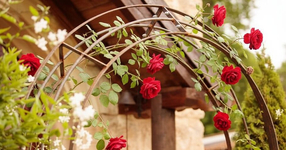 Rozenbogen correct beplanten