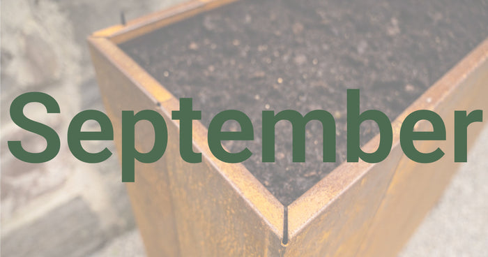 Tuintips voor september
