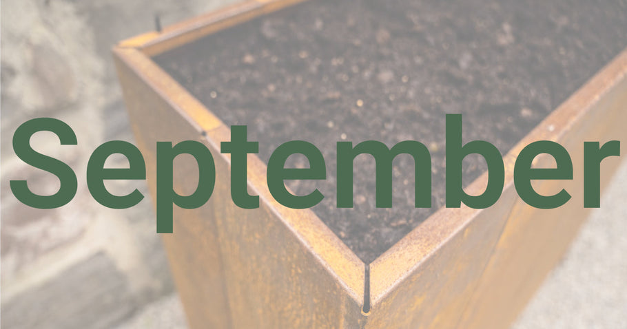 Tuintips voor september