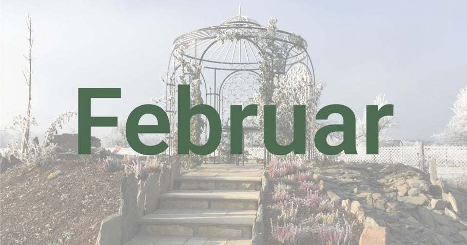 Tuintips voor februari