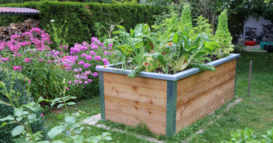 Zelf een verhoogde moestuinbak bouwen