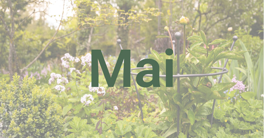 Tuintips voor mei