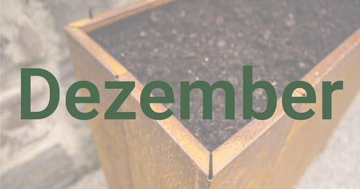 Tuintips voor december