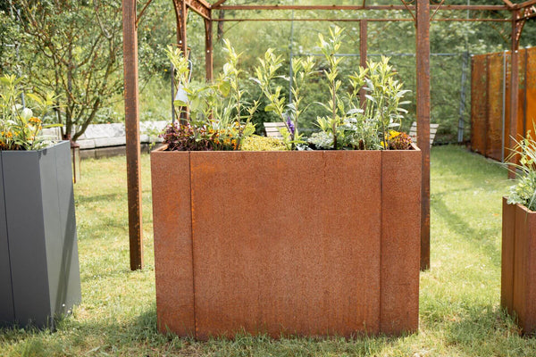 Groenten kweken in de verhoogde moestuin – de beste rassen, planttips & een plantschema voor het hele jaar