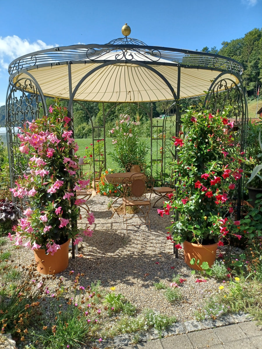 Silverline 3-ring Planten Steunring 450 Mm Silverline 3-ring Planten Steunring 450 Mm